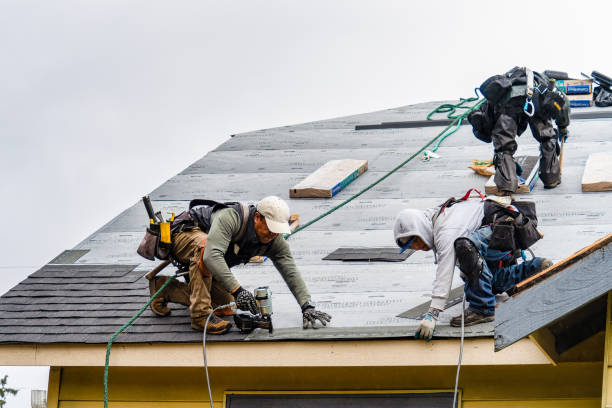 Professional Roofing technician working in Cottage Hills, IL